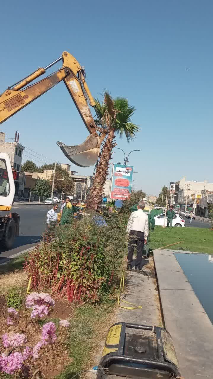 ✳️ کاشت درختان نخل در بلوارها و میادین هشتگرد